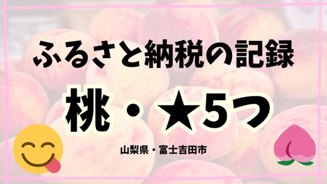 ふるさと納税の記録2024【桃：星5つ】