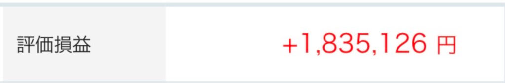 評価損益２０２４年11月