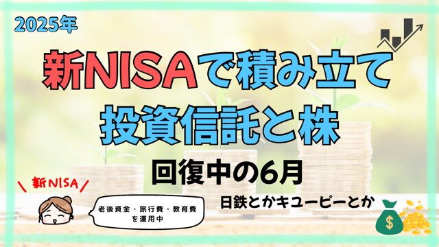 新NISA2025年6月